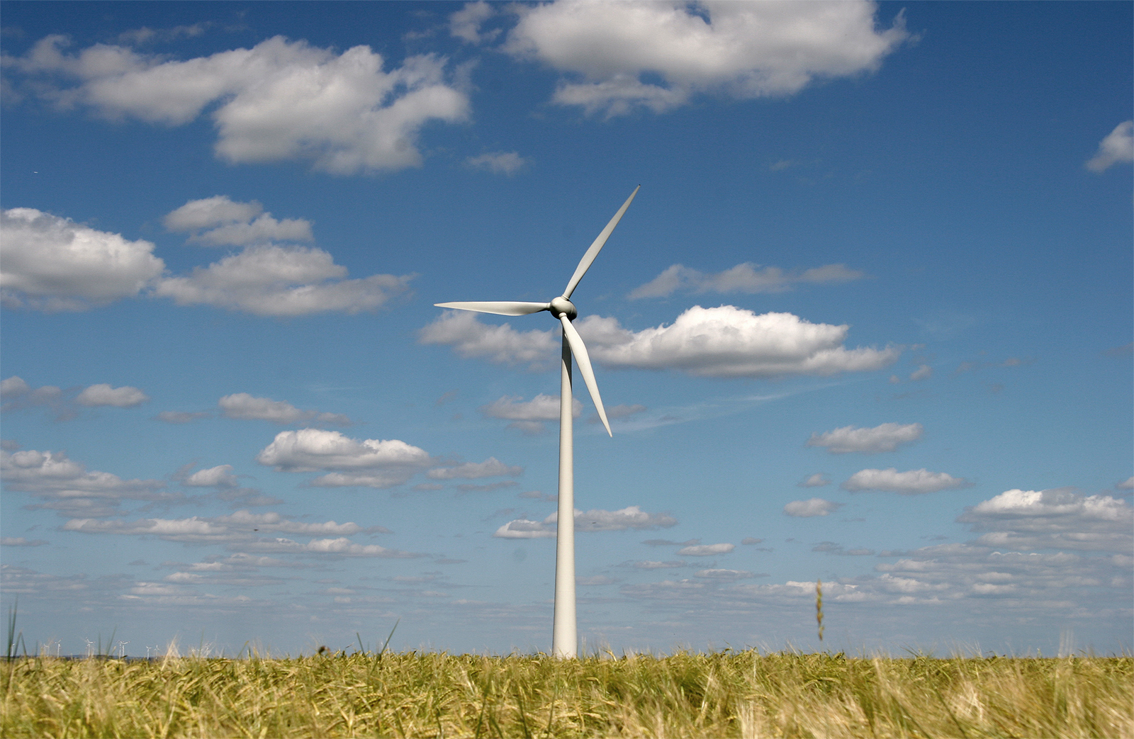 LéONEE révèle la liste des prétendants au Projet éolien intégré