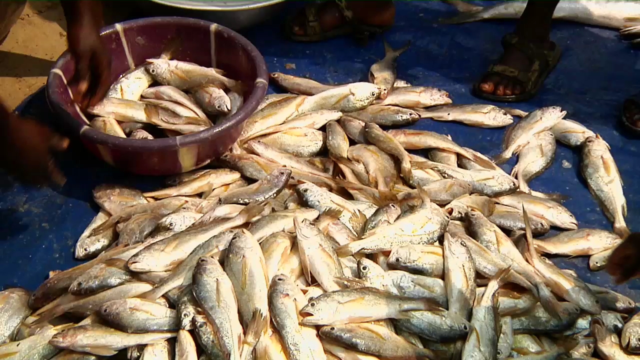 Accords de pêche: Dakar et Nouakchott poursuivent le dialogue