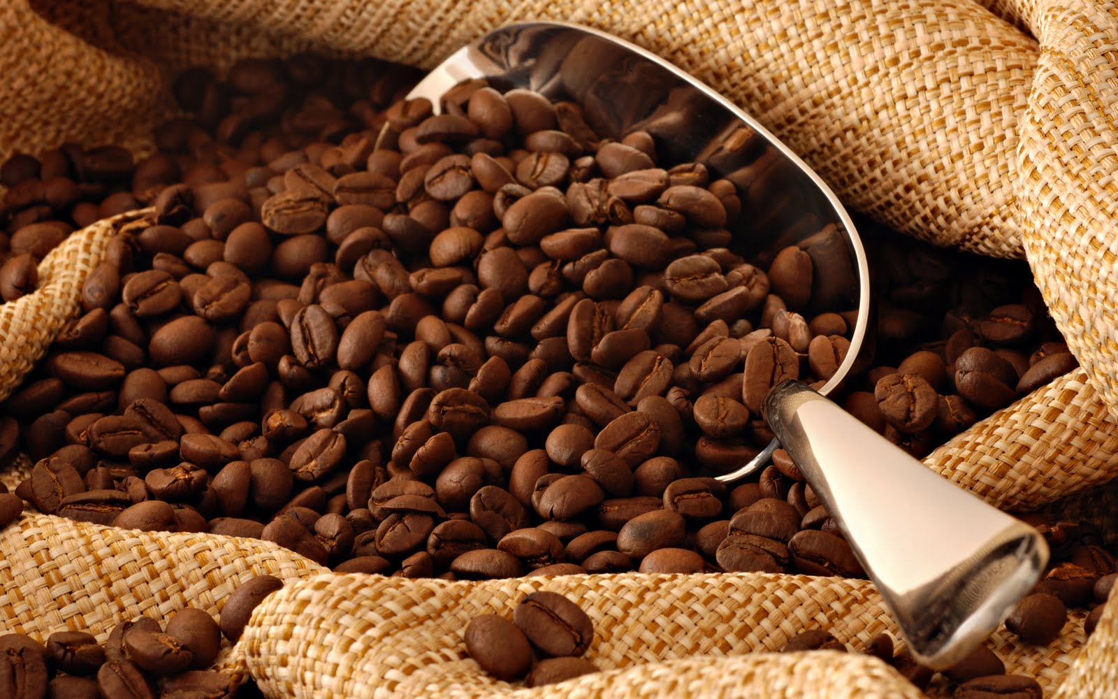 Kenya : Les recettes des exportations de café en hausse de 17% durant les sept premiers mois de 2017