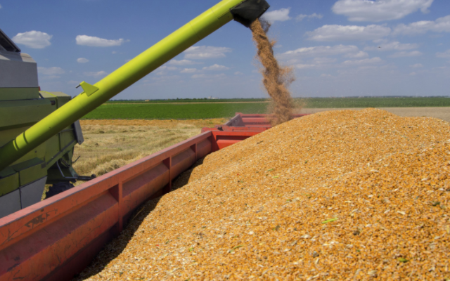 Campagne agricole 2019-2020: Baisse de 42% de la production céréalière