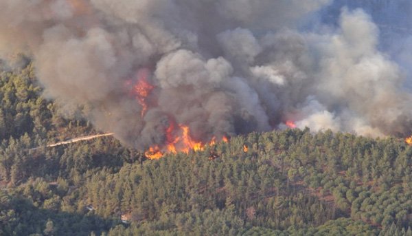Une étude révèle que la saison des feux de forêts séallonge de plus en plus 